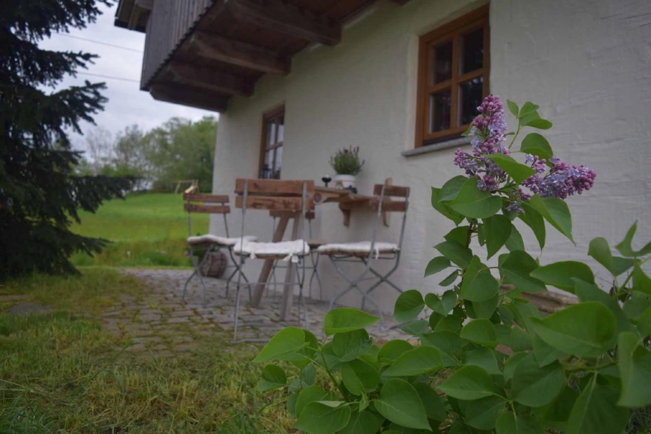 Birken Chalet Falkenfels 外观 照片