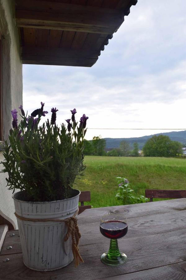 Birken Chalet Falkenfels 外观 照片